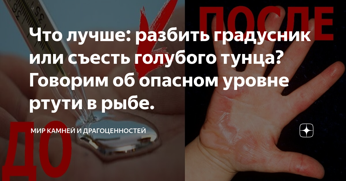 Лучший разбить. Разбитое не склеишь цитаты. Не страшно разбиться на скорости. Лучший разбить. Всё что не делается всё к лучшему цитаты.