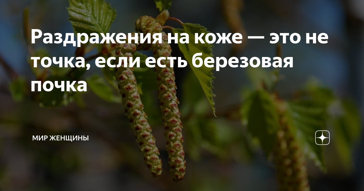 Земля просохла распустились душистые березовые почки. Диктант скворцы. Земля обсохла душистые березовые почки распустились. Береза листья и сережки. Спишите предложения вставляя пропущенные буквы и знаки препинания.