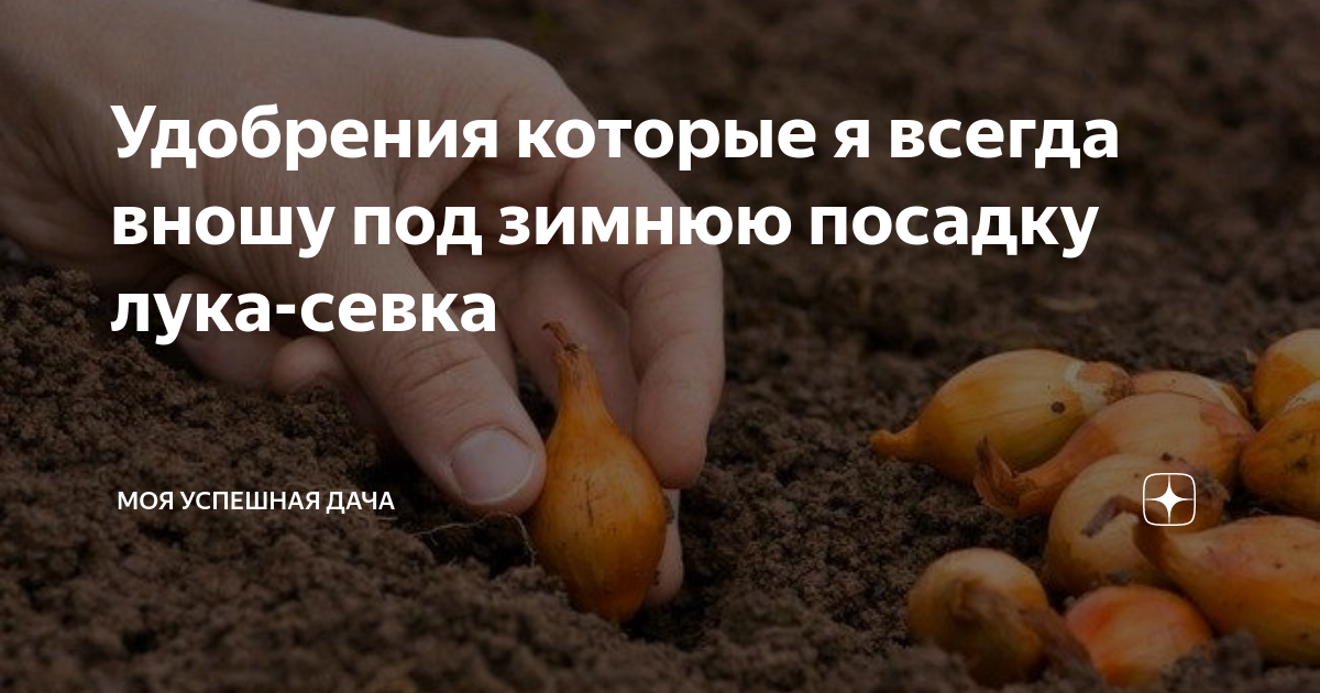 Когда по народным приметам сажать лук