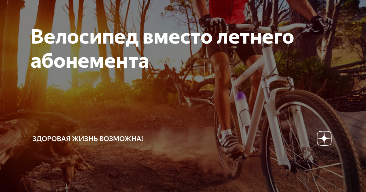 Велосипед вместо летнего абонемента: польза и преимущества