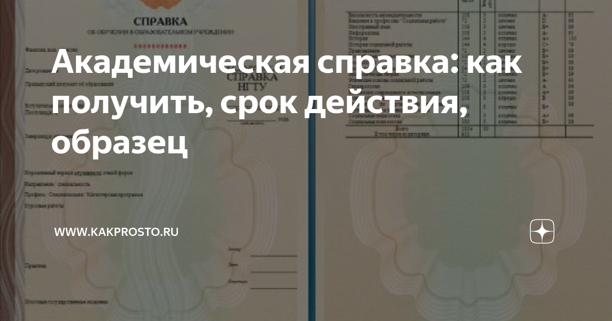 Академическая справка: как получить, срок действия, образец | www ...