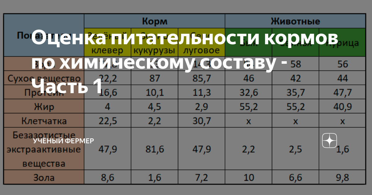 Схема химического состава корма. Томаты химический состав и пищевая ценность. Минеральная питательность кормов. Оценка минеральной питательности кормов. Минеральная питательность кормов животных.
