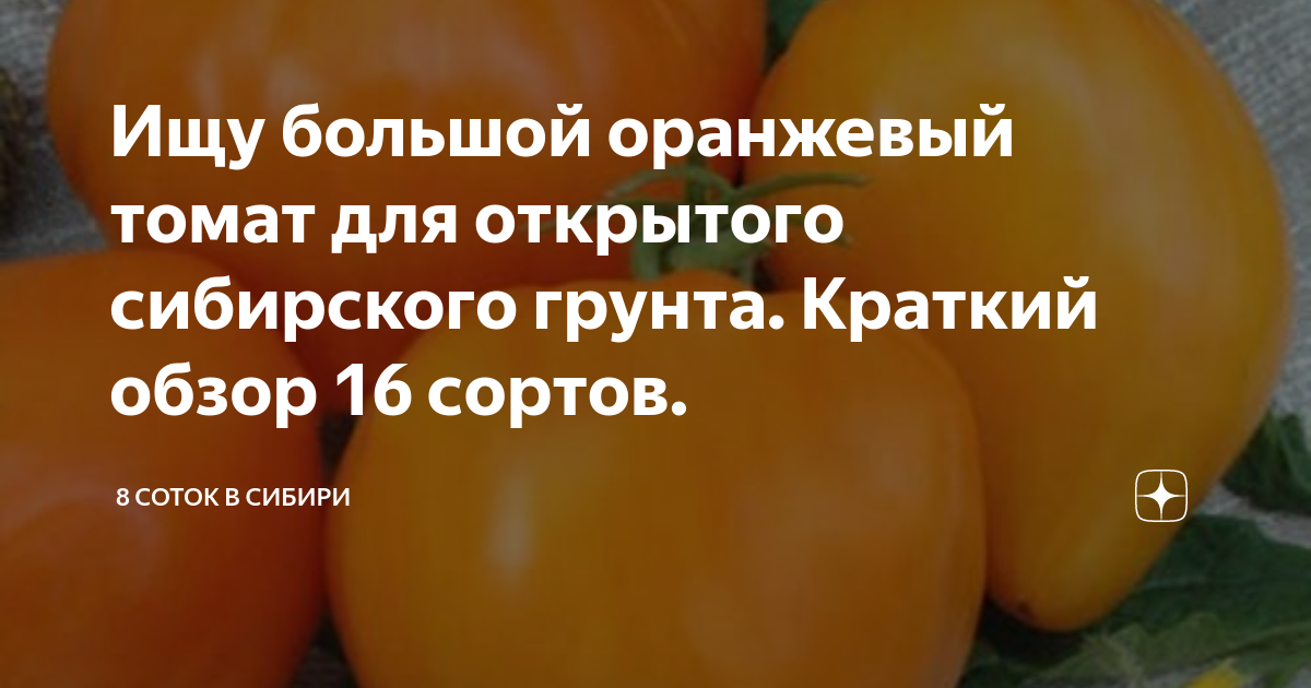 Томаты желтая ракета описание. Сорта жёлтых томатов с фото и описанием для открытого грунта. Томат ракета желтая характеристика. Томаты оранжевый Король. Доктор капуста и доктор томат.