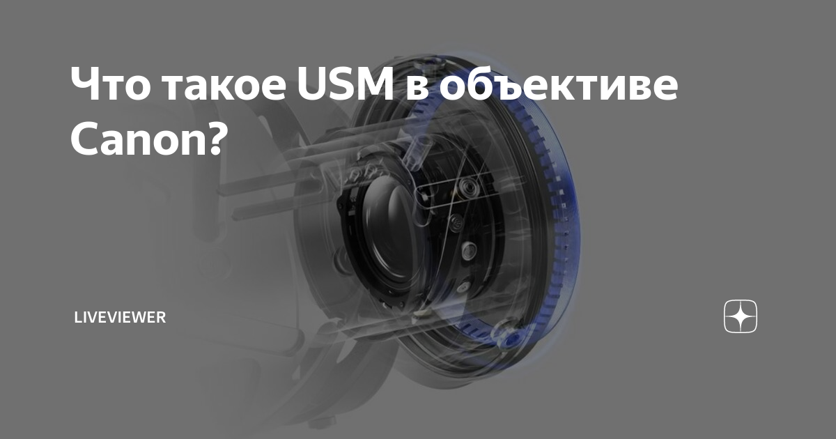 Что такое USM в объективе Сanon? | Иди и снимай | Дзен