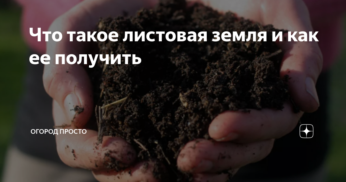 Что такое листовая земля и как ее получить | Огород просто | Дзен