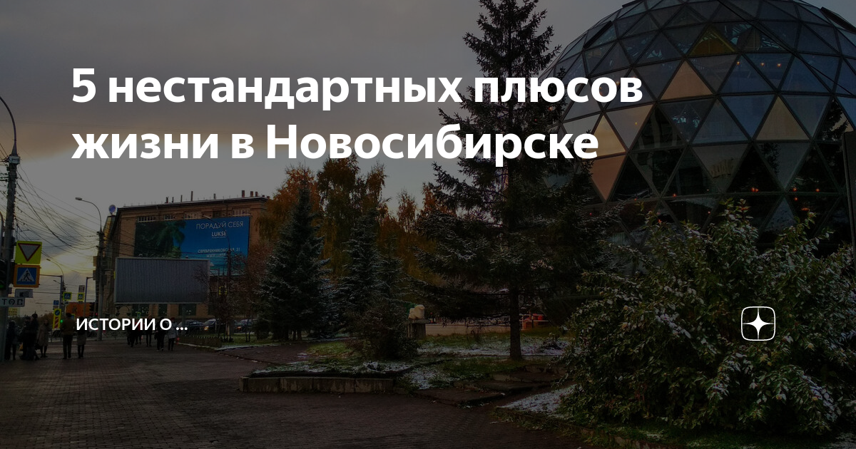 Плюсы жить в Новосибирске. Плюсы города Новосибирска. Плюсы города.