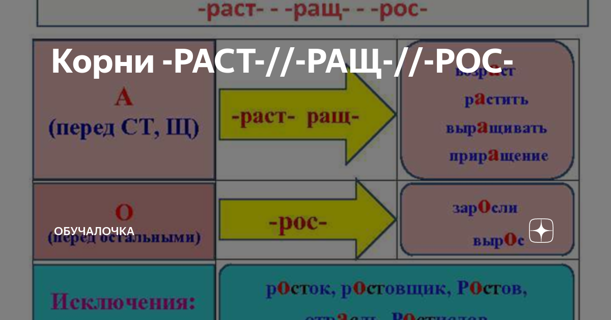 Корень ращ