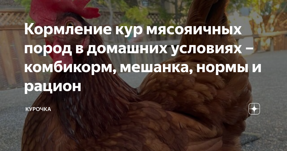 БВМК Purina® 10 % для кур-несушек от 20 недель, 25 кг