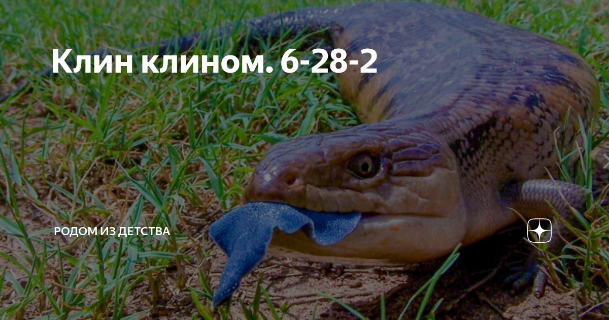 Клин клином. 6-28-2 | Родом из детства | Дзен