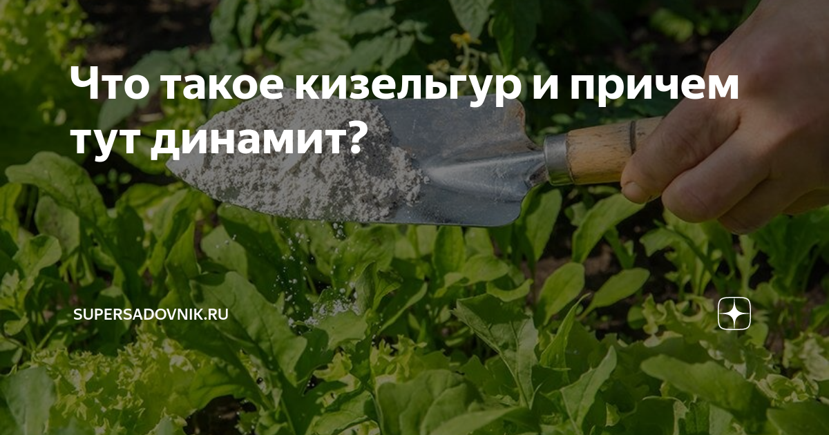 Что такое кизельгур и причем тут динамит? | Supersadovnik.ru | Дзен