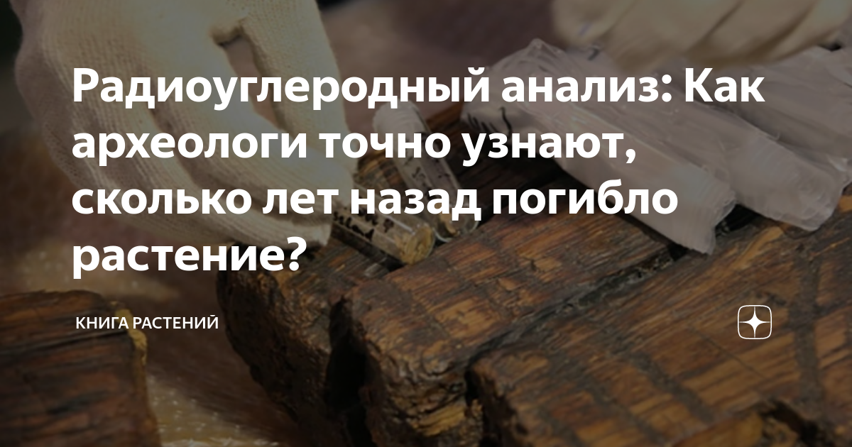 Радиоуглеродный анализ: Как археологи точно узнают, сколько лет назад ...