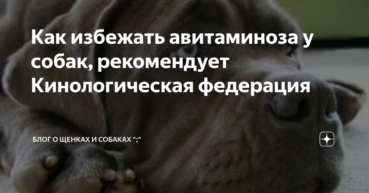 Подраздел 1.1: Правильный рацион