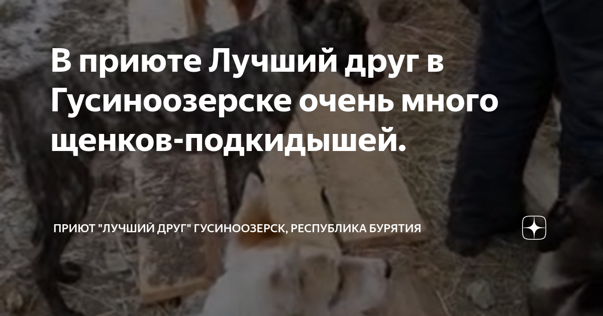 Знакомства Гусиноозерск для лёгких отношений с девушками и незамужними женщинами