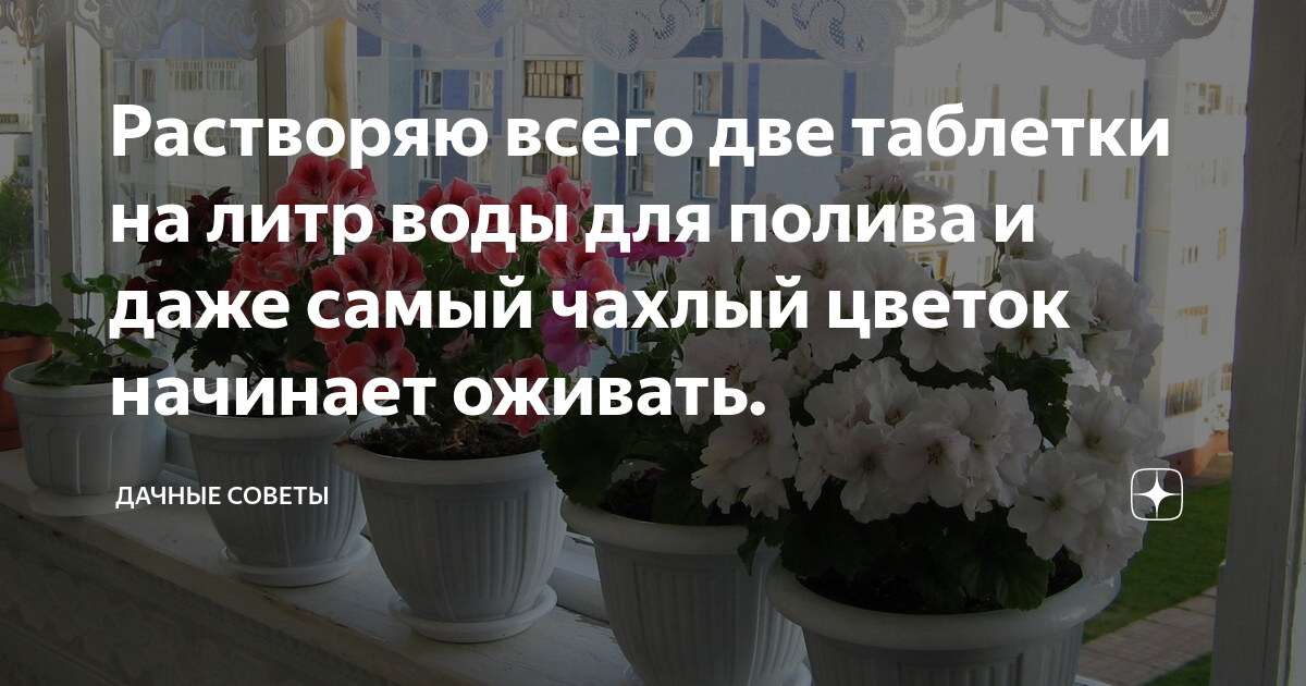 сколько капель йода на литр воды для кроликов