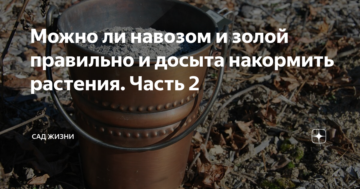 Можно ли навозом и золой правильно и досыта накормить растения. Часть 2 ...