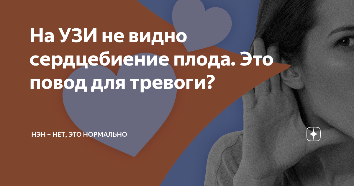 Когда сердцебиение плода будет слышно на УЗИ?