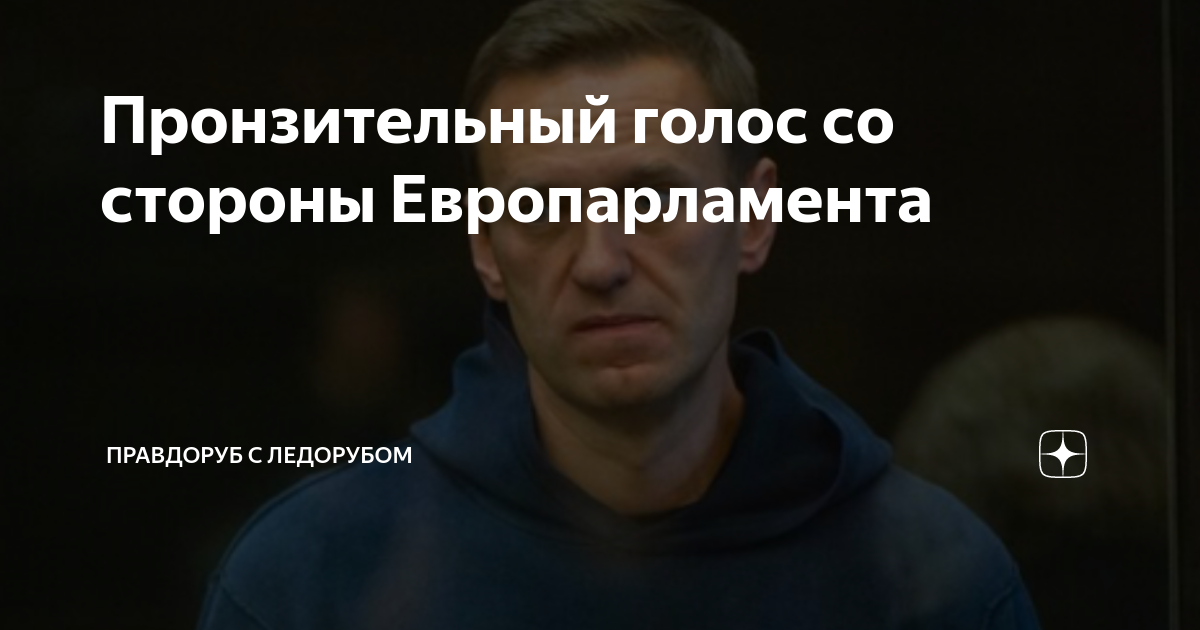 Пронзительный голос со стороны Европарламента | Правдоруб с ледорубом ...