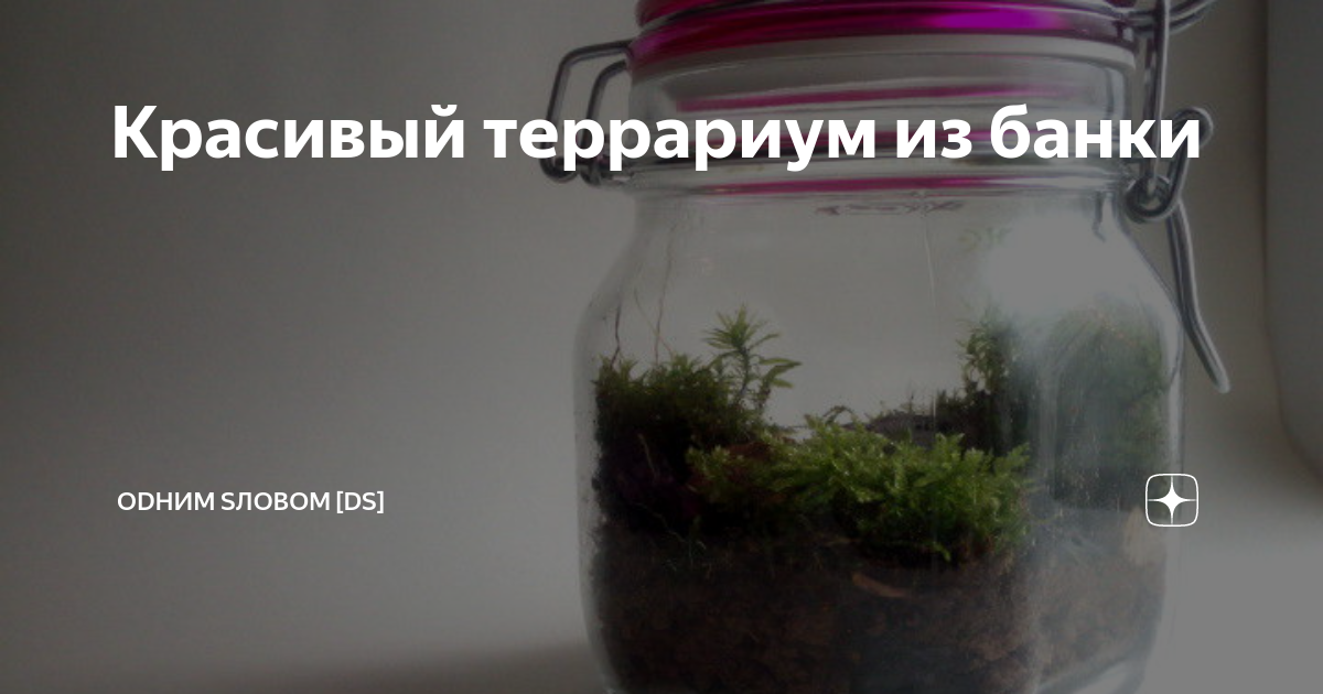 КАК СДЕЛАТЬ ВЕЧНЫЙ ТЕРРАРИУМ! | Terrarium diy, Terrarium, Light bulb crafts