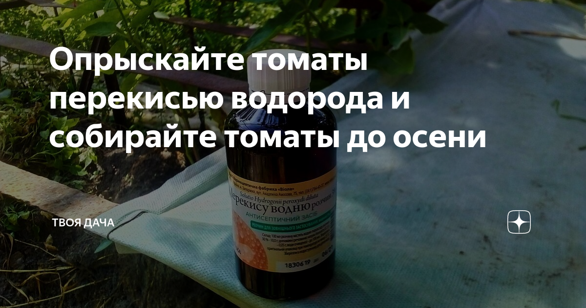 Подкормка огурцов перекисью водорода. Подкормка томатов перекисью водорода. Перекись водорода для рассады томатов. Полив рассады томатов перекисью водорода. Перекись для полива томатов.