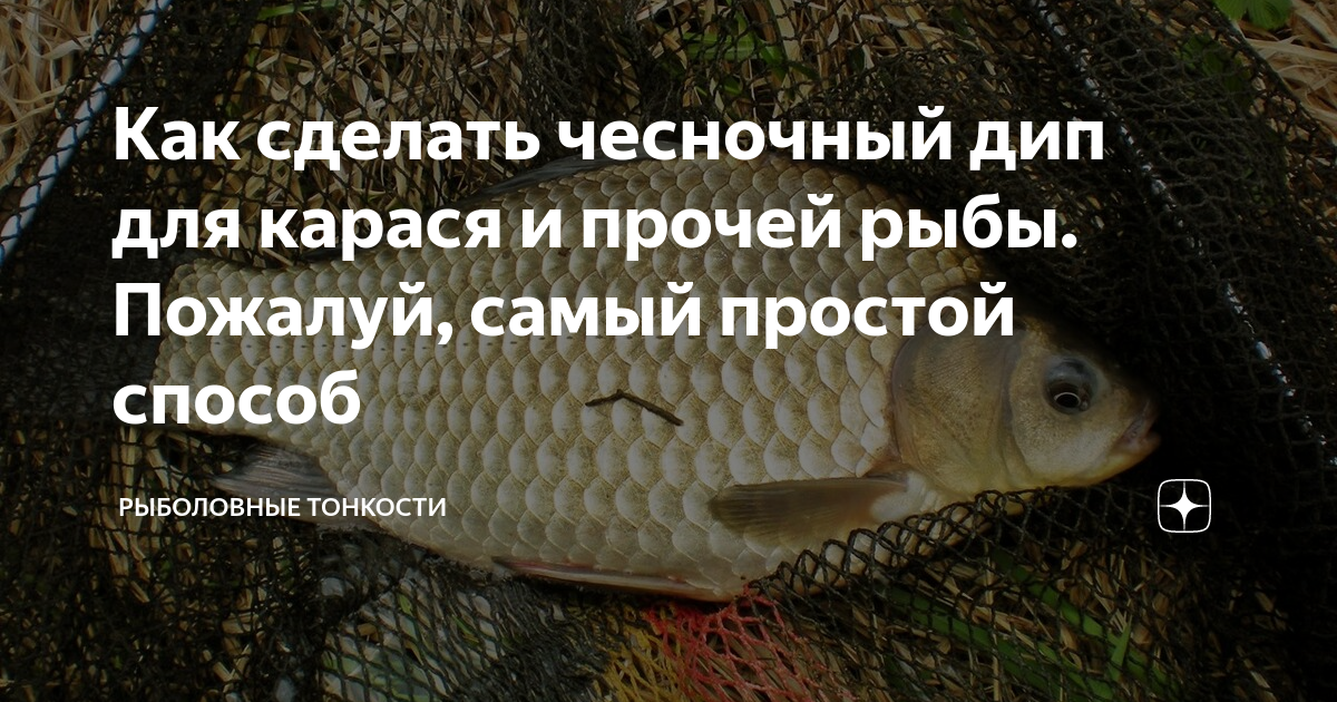 Как сделать чесночный дип для карася и прочей рыбы. Пожалуй, самый ...