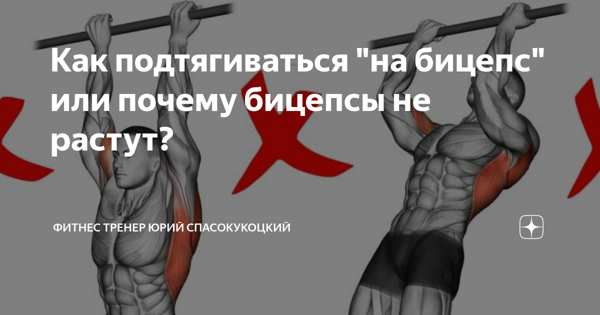 Почему большой бицепс не всегда помогает в армрестлинге: факторы успеха