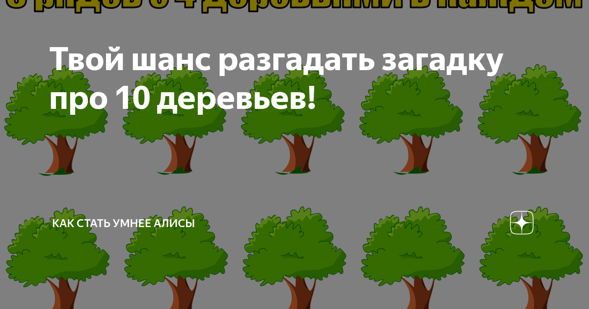 10 деревьев 5 рядов. 10 деревьев. разгадать загадку хвойное дерево. 10 деревьев 5 рядов по 4 дерева. у вас есть 10 деревьев.