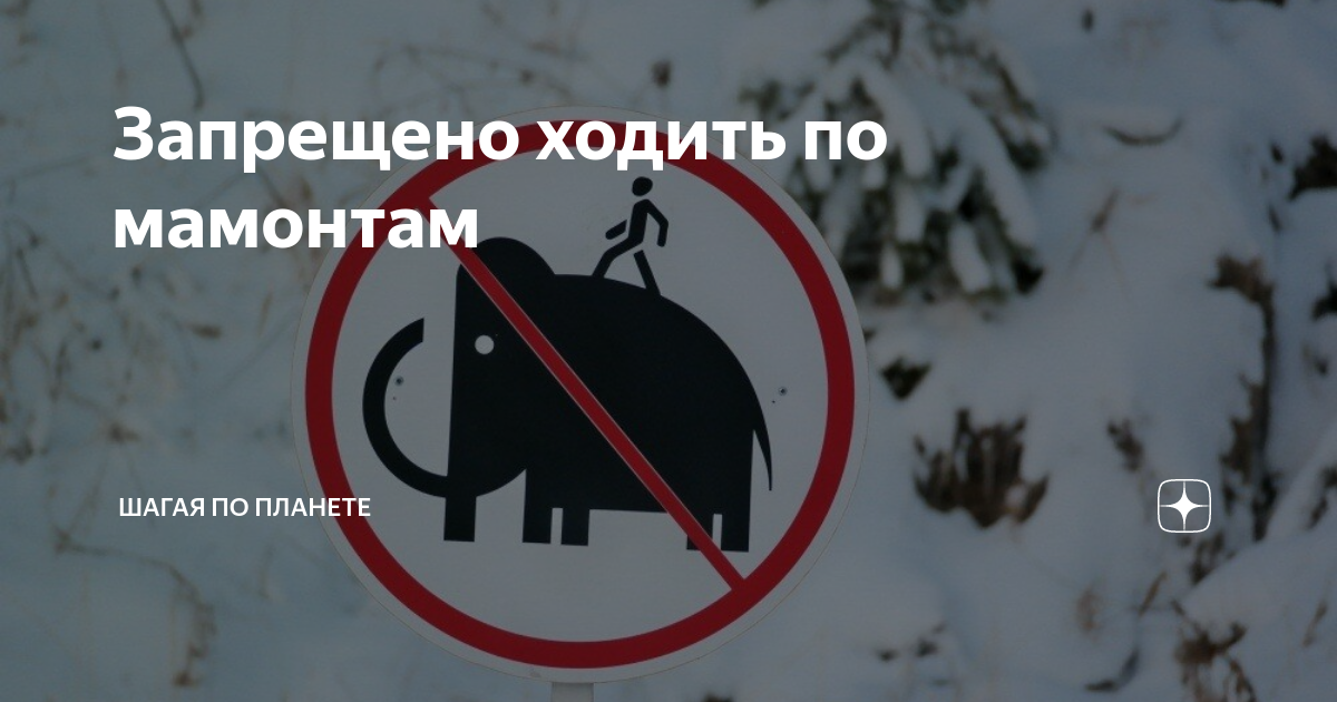 смешные запрещающие знаки. хождение по путям запрещено знак. запретили ходить на работу. небезопасно для жизни. прохода нет табличка.