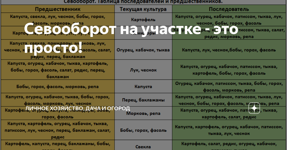 Севооборот это. Севооборот предшественники. Севооборот картофеля на дачном участке. Предшественники культур в севообороте. Севооборот предшественники и последователи.