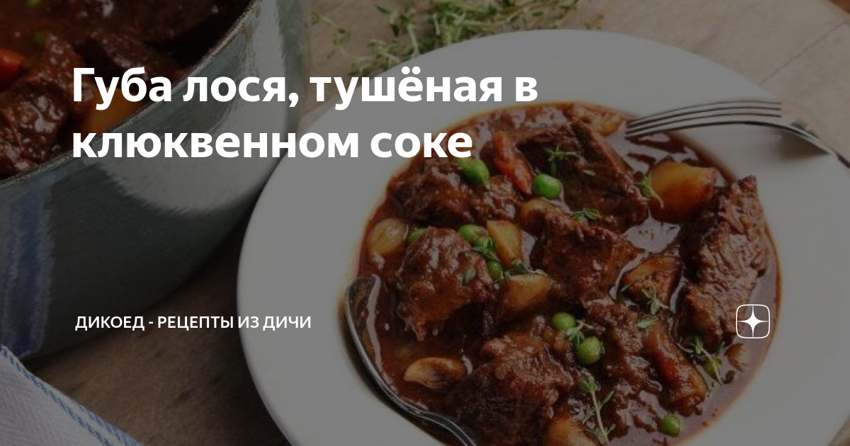 Как приготовить лосиную губу: рецепты вкусных блюд