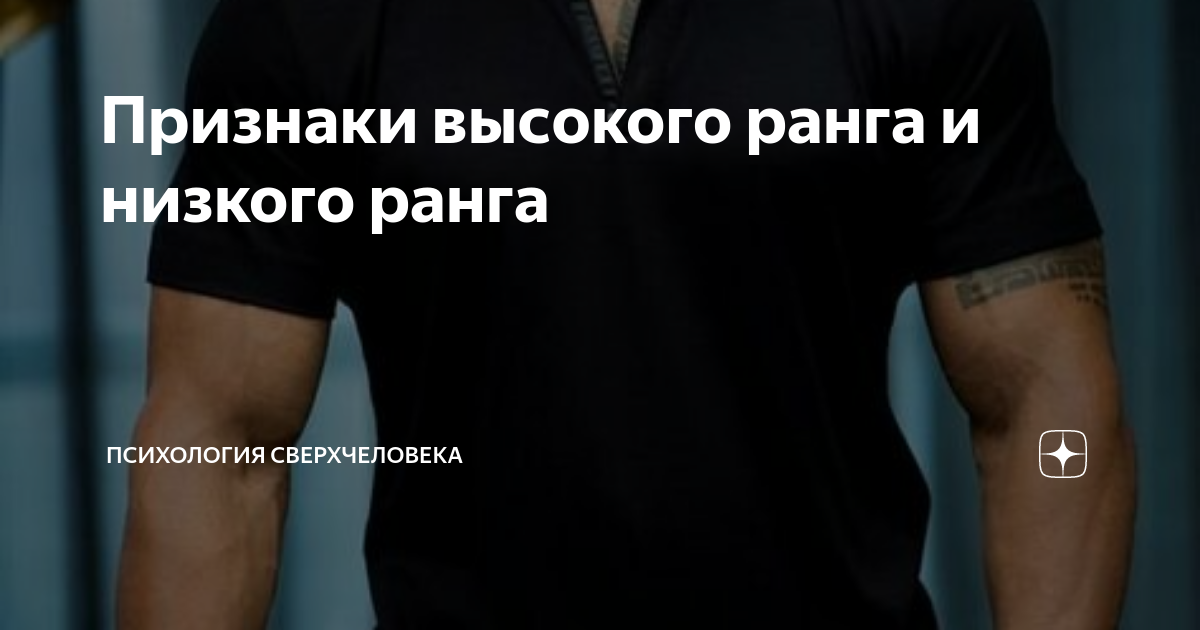 Ранги мужчин. Признаки высокого ранга. Высокий ранг мужчины. Низкопримативный мужчина.