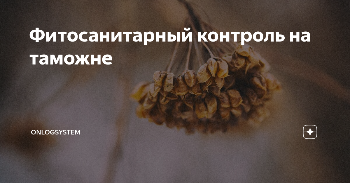 Фитосанитарный контроль на таможне | OnlogSystem | Дзен