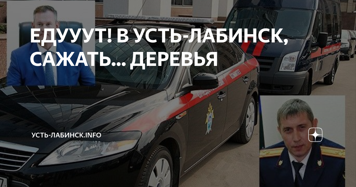 ЕДУУУТ! В УСТЬ-ЛАБИНСК, САЖАТЬ... ДЕРЕВЬЯ | Усть-Лабинск.info | Дзен