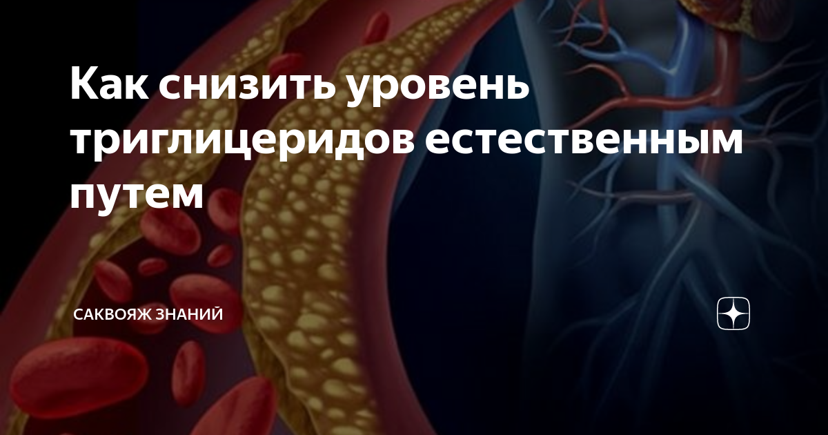 Холестерин триглицериды повышены. Повышение триглицеридов. Уровень триглицеридов. Повышение триглицеридов в крови. Причины повышения триглицеридов