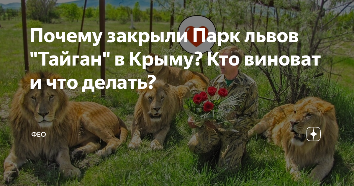 Парк Львов Тайган карта
