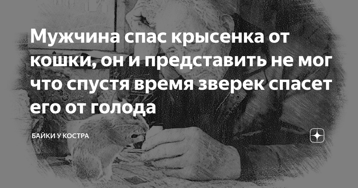 Мужчина спас крысенка от кошки, он и представить не мог что спустя ...