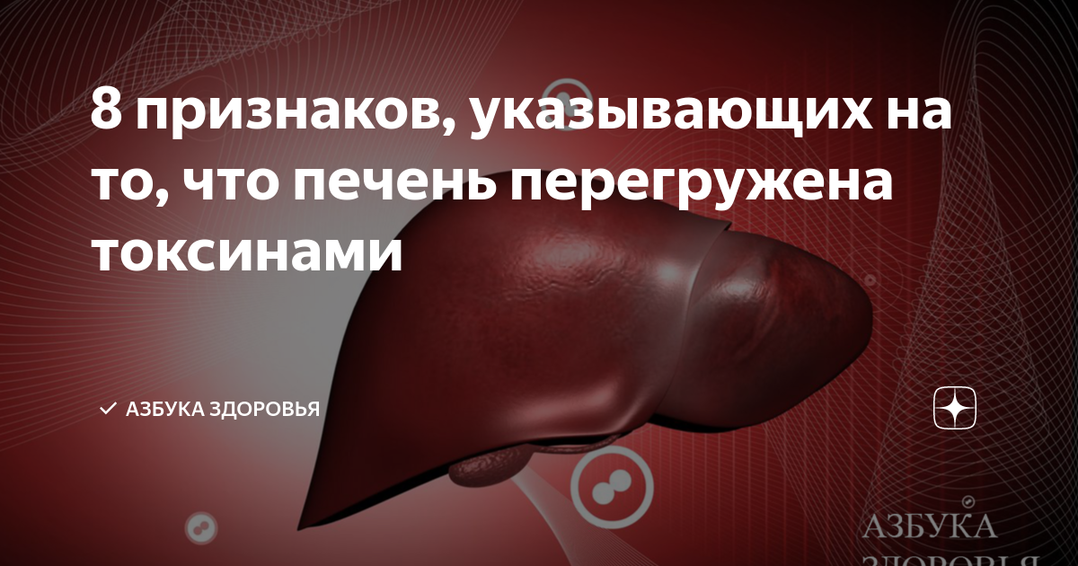 Токсины в печени. Здоровье печени. Признаки что печень переполнена токсинами. Печень обезвреживает яд. Угрозы для здоровья печени