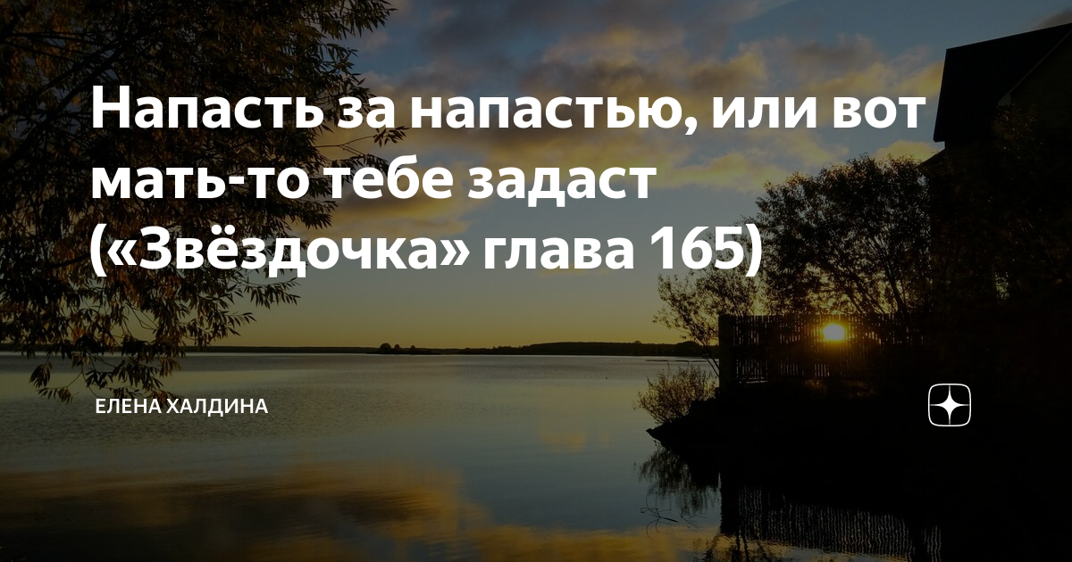 Звездочка моя глава 8 глава 16. Халдина дзен.