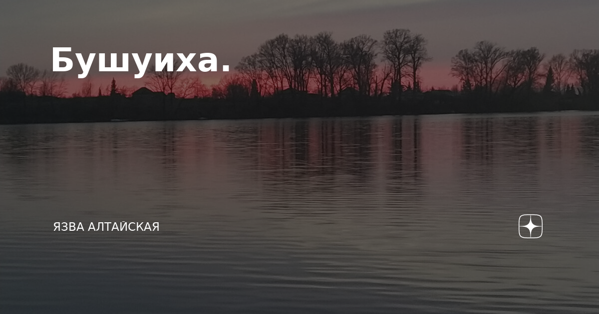 Язва алтайская дзен валька валечка. Язва Алтайская дзен. Бушуиха. Бушуиха Земняк.