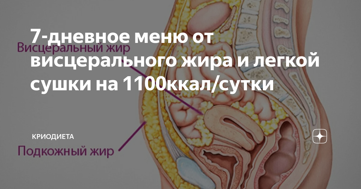 Висцеральный сон пигарев. Уровень висцерального жира у женщин. Воспаление висцерального жира.