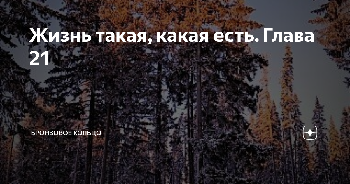Жизнь такая, какая есть. Глава 21 | Бронзовое кольцо | Дзен