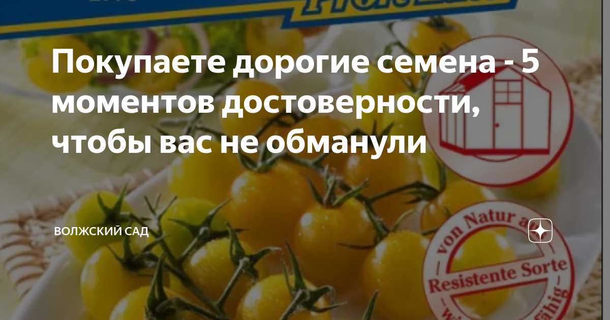Покупаете дорогие семена - 5 моментов достоверности, чтобы вас не ...