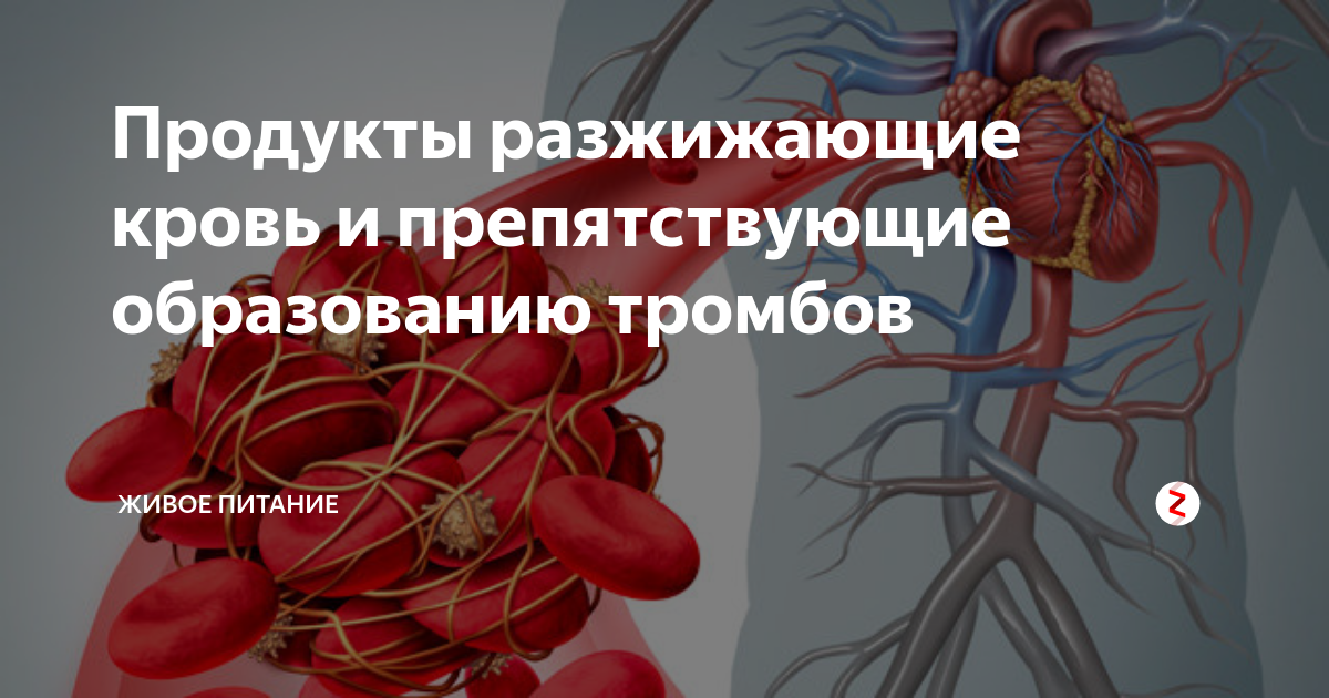 Продукты разжижают кровь и убирает тромбоз. Продукты разжижающие кровь и препятствующие. Что разжижает кровь. Продукты разжижающие кровь и препятствующие тромбообразованию. Пища для разжижения крови.