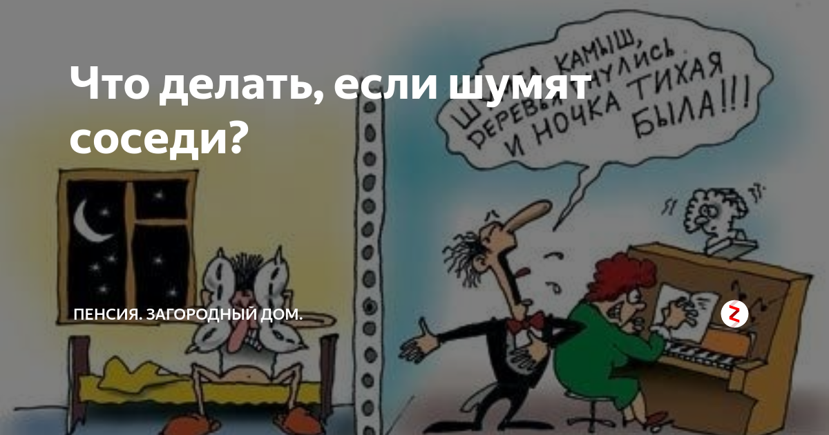 Как не скучать на пенсии дзен. Что делать если соседи шумят. Что делать если шумные соседи. Соседи сверху шумят. Шум у соседей что делать.