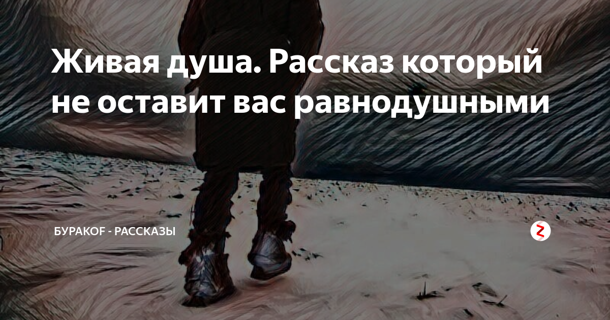 Истории для души. Душа в душу рассказ. Не оставят вас равнодушными. Сохраним душу живой.