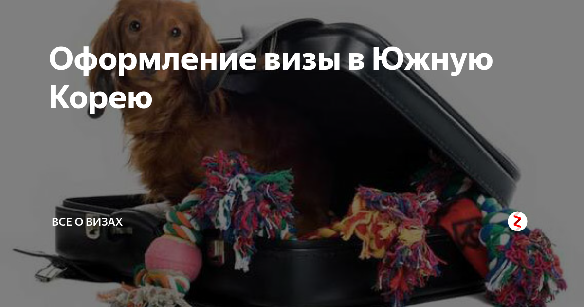 что нужно для получения визы в южную корею