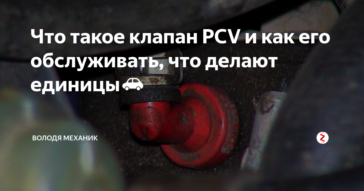 zen.yandex.ru