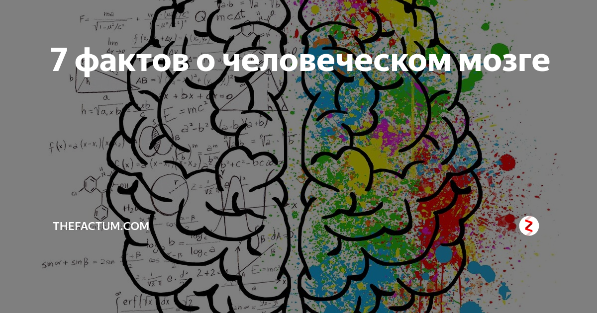 Картинка перезагрузка мозга