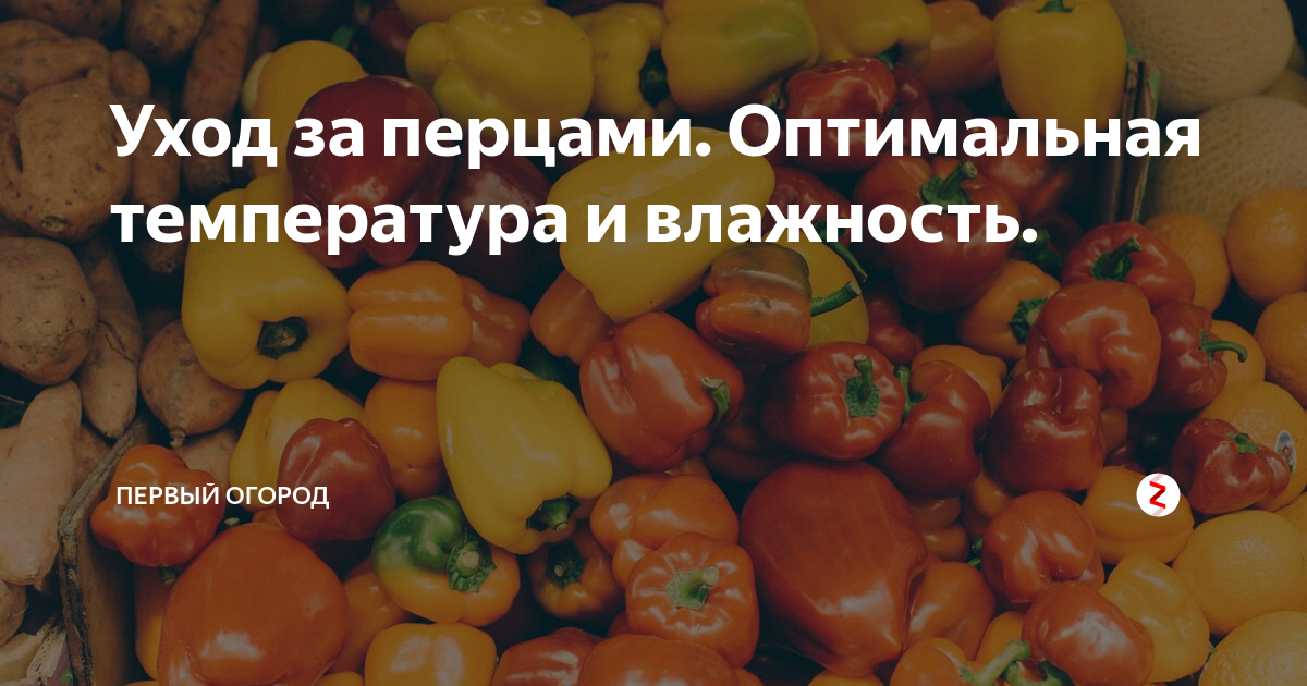 Уход за перцами. Оптимальная температура и влажность.