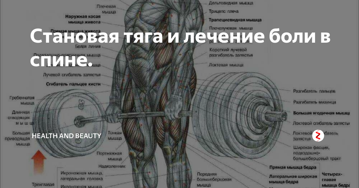 Норматив по становой тяге мужчины. Становая тяга высказывания. Становая сумо нормативы. Становая тяга норма для мужчин.