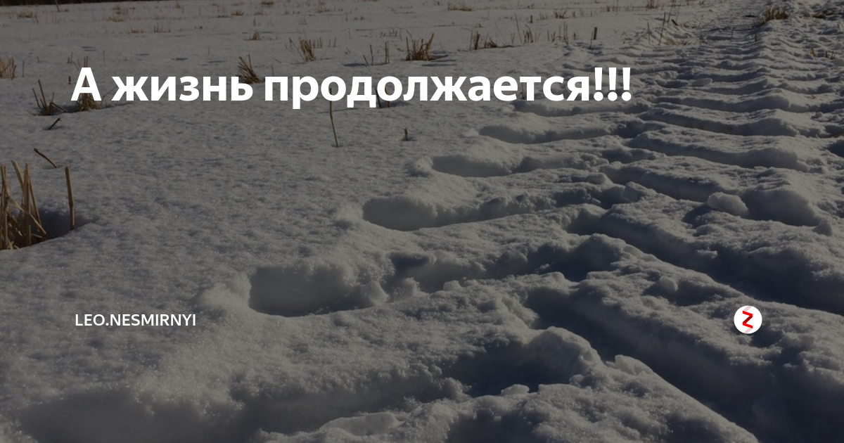 Жизнь продолжается. А жизнь продолжается. Жизнь продолжается картинки. Зима жизнь продолжается. Жизнь продолжается картинки прикольные.